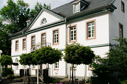 Daun Vulkanmuseum